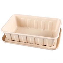 New Arrival  in USA &Europe market bagasse pulp lunch box 2500ml 3000ml